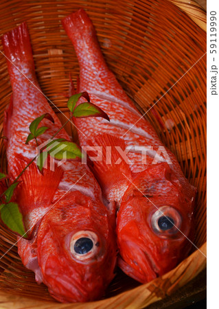 キンキ入荷しました 59119990