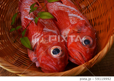 キンキ入荷しました 59119992