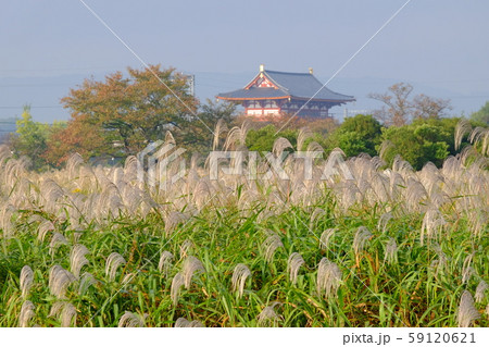 朱雀門とススキ（奈良市法華寺町） 59120621