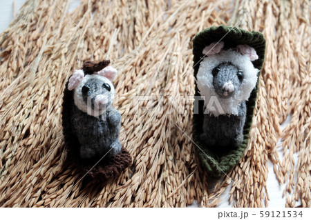 Cute mouse relax on sheaf of paddy, woolen small rat Cute mouse relax on sheaf of paddy, woolen small rat 59121534