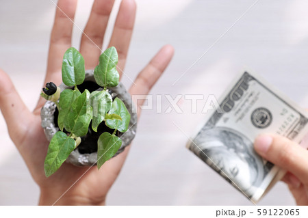 A human hand hold seedlings, another hold tight money, top view on white A human hand hold seedlings, another hold tight money, top view on white 59122065