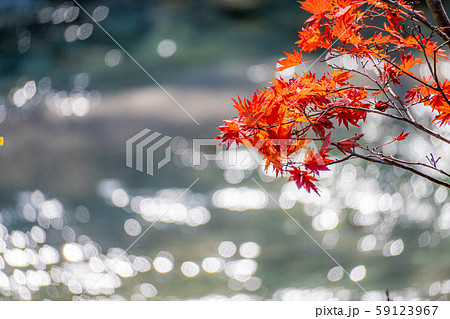 紅葉 もみじ 玉ボケ 高瀬渓谷 【長野県】 紅葉 もみじ 玉ボケ 高瀬渓谷 【長野県】 59123967