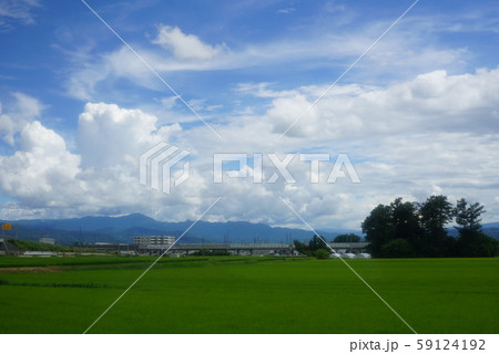 一面に広がる畑と夏の空 長野県佐久市 一面に広がる畑と夏の空 長野県佐久市 59124192