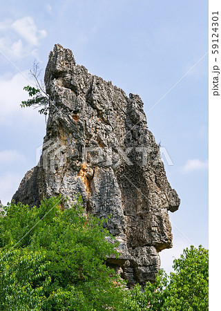 Naigu Shilin limestone pinnacles Stone Forest - Naigu Shilin limestone pinnacles Stone Forest - 59124301