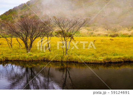 覚満淵【群馬県赤城山】 覚満淵【群馬県赤城山】 59124691