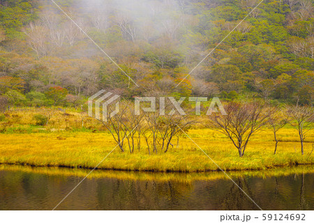 覚満淵【群馬県赤城山】 覚満淵【群馬県赤城山】 59124692