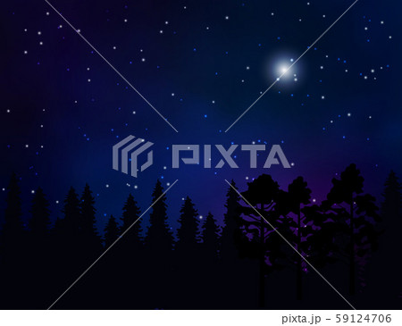 Forest landscape and starry night sky Forest landscape and starry night sky 59124706