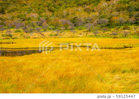 覚満淵【群馬県赤城山】 覚満淵【群馬県赤城山】 59125447