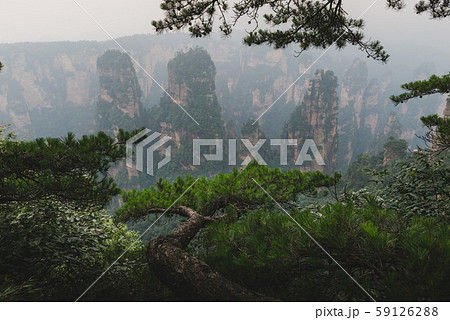Zhangjiajie National Forest Park Zhangjiajie National Forest Park 59126288