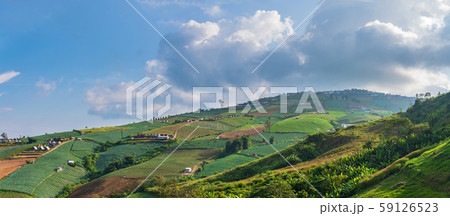 Panorama high view beautiful nature landscape of 59126523