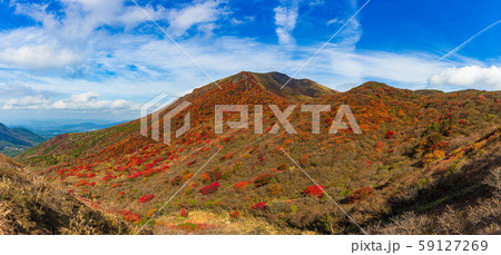 星生山‗鮮やかな紅葉‗大分県くじゅう連山 59127269