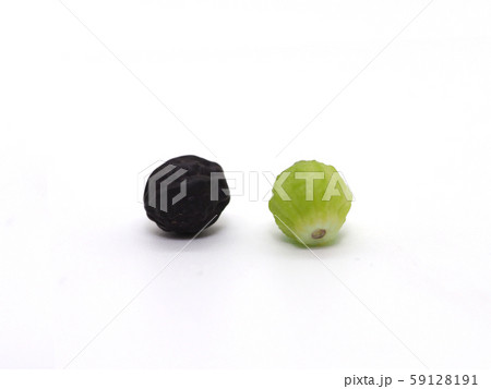 オシロイバナの種（黒と黄緑の2色） 59128191