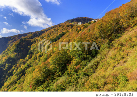 湯沢高原　パノラマパーク　アルプの里 59128503