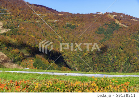 湯沢高原　パノラマパーク　アルプの里 59128511