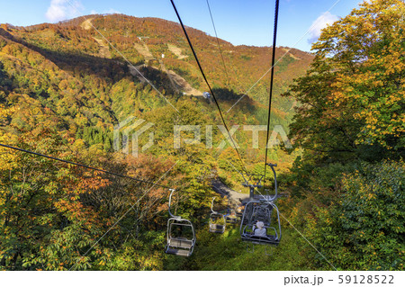 湯沢高原　パノラマパーク　アルプの里 59128522