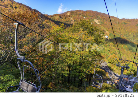 湯沢高原　パノラマパーク　アルプの里 59128525