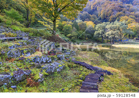 湯沢高原　パノラマパーク　アルプの里 59128548