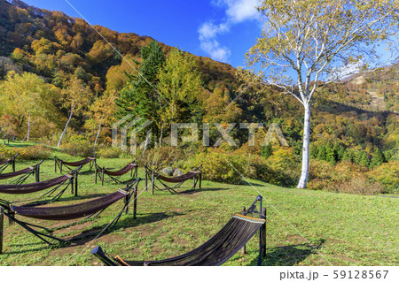湯沢高原　パノラマパーク　アルプの里 59128567