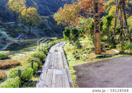 湯沢高原　パノラマパーク　アルプの里 59128568