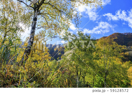 湯沢高原　パノラマパーク　アルプの里 59128572