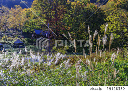 湯沢高原　パノラマパーク　アルプの里 59128580