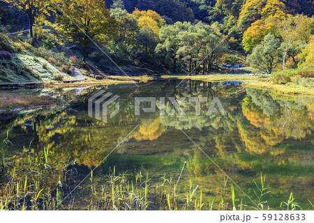 湯沢高原 パノラマパーク アルプの里 湯沢高原 パノラマパーク アルプの里 59128633