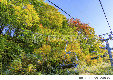 湯沢高原　パノラマパーク　アルプの里 59128635