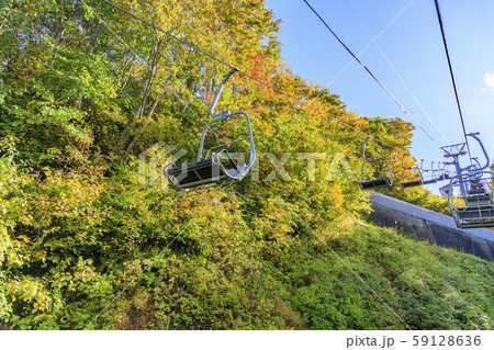 湯沢高原　パノラマパーク　アルプの里 59128636