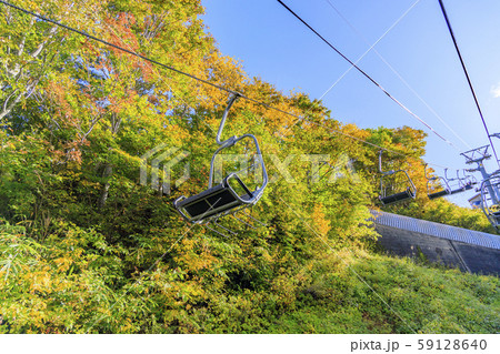 湯沢高原　パノラマパーク　アルプの里 59128640