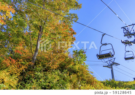 湯沢高原　パノラマパーク　アルプの里 59128645