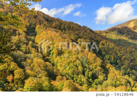 湯沢高原 パノラマパーク アルプの里 湯沢高原 パノラマパーク アルプの里 59128646