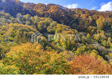 湯沢高原　パノラマパーク　アルプの里 59128648