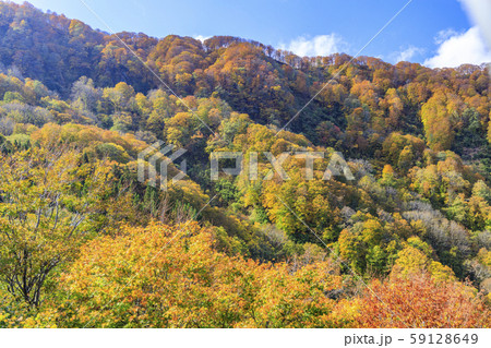湯沢高原　パノラマパーク　アルプの里 59128649