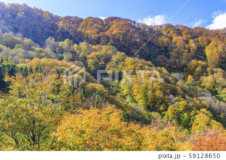 湯沢高原　パノラマパーク　アルプの里 59128650