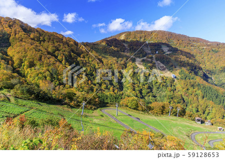 湯沢高原　パノラマパーク　アルプの里 59128653