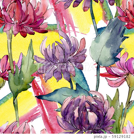 Aster floral botanical flowers. Watercolor background illustration set. Seamless background pattern. 59129182