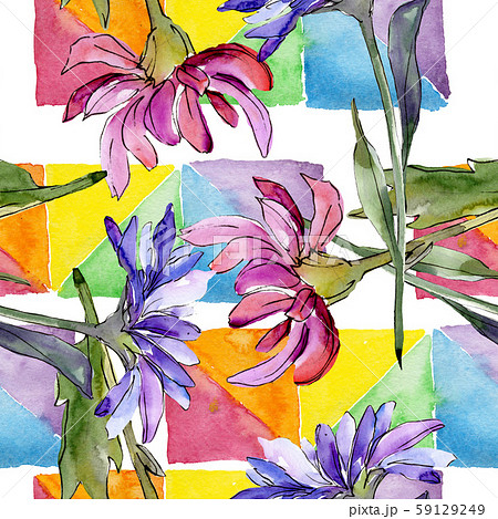 Aster floral botanical flowers. Watercolor background illustration set. Seamless background pattern. Aster floral botanical flowers. Watercolor background illustration set. Seamless background pattern. 59129249