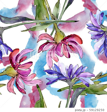 Aster floral botanical flowers. Watercolor background illustration set. Seamless background pattern. Aster floral botanical flowers. Watercolor background illustration set. Seamless background pattern. 59129250