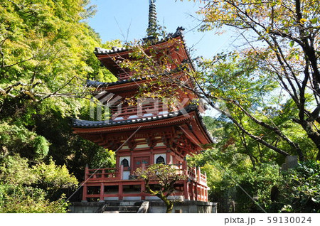 西国十番 三室戸寺 三重塔 西国十番 三室戸寺 三重塔 59130024