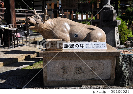西国十番 三室戸寺 勝運祈願の宝勝牛 狛牛 西国十番 三室戸寺 勝運祈願の宝勝牛 狛牛 59130025