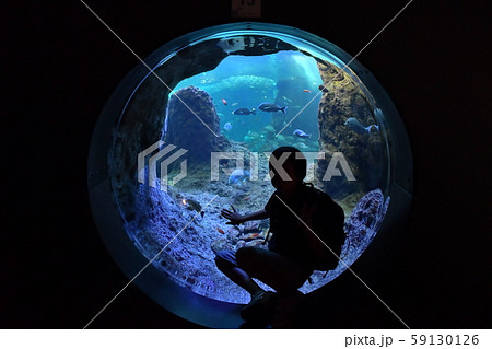 水族館 59130126