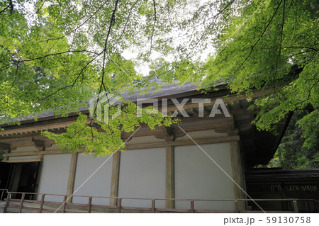 中尊寺金色堂覆堂（横から） 59130758