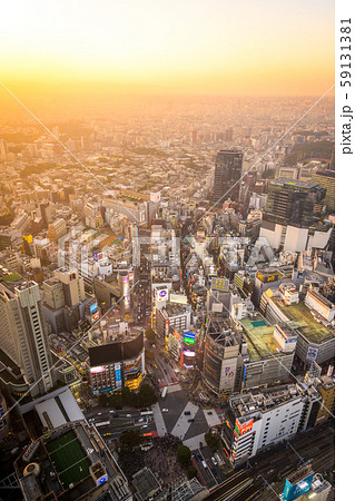 渋谷のスクランブル交差点の夕景　 渋谷スクランブルスクエアから 59131381