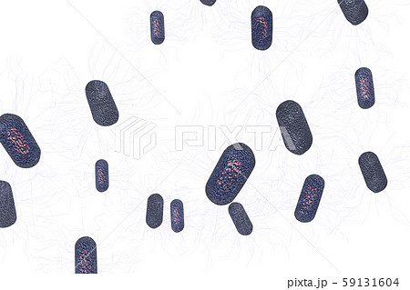 大腸菌の透過素材(コンピューターグラフィック) 大腸菌の透過素材(コンピューターグラフィック) 59131604