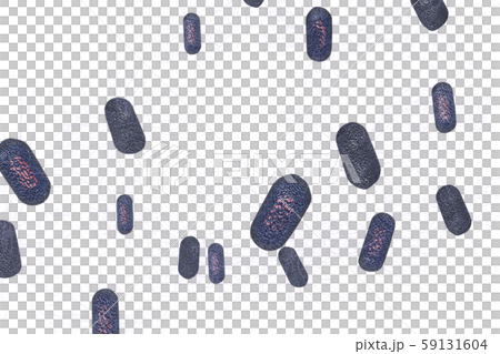 大腸菌の透過素材(コンピューターグラフィック) 大腸菌の透過素材(コンピューターグラフィック) 59131604