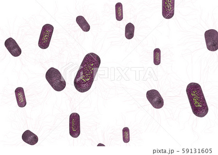 大腸菌の透過素材（コンピューターグラフィック） 59131605