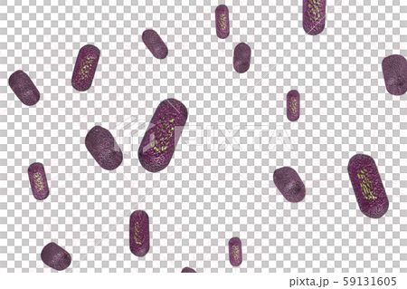 大腸菌の透過素材（コンピューターグラフィック） 59131605