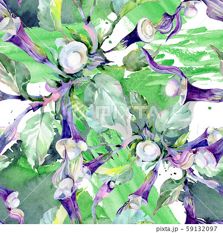 Bouquet floral botanical flowers. Watercolor background illustration set. Seamless background Bouquet floral botanical flowers. Watercolor background illustration set. Seamless background 59132097