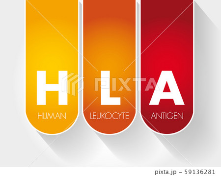HLA - Human Leukocyte Antigen acronym HLA - Human Leukocyte Antigen acronym 59136281