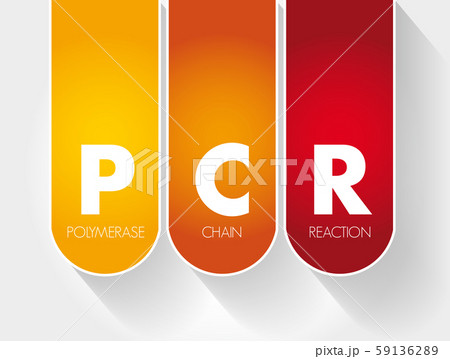 PCR - Polymerase Chain Reaction, acronym 59136289